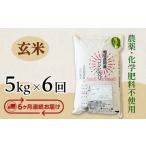 E1-G056B 長岡産コシヒカリ玄米5kg
