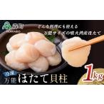 ふるさと納税 【万能サイズ】刺身用ほたて貝柱 1kg 海鮮丼 森町 ほたて 帆立 ホタテ 貝柱 海産物 魚貝類 ふるさと納税 北海道 mr1-1318 北海道森町