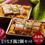 うなぎ うなぎ飯