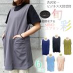 ~渋沢栄一ビジネス大賞受賞商品~彩の国ベストMINO旬彩エプ…