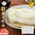 稲庭うどん 2人前
