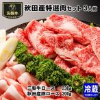 牛肉 ロース 豚肉 秋田産特選肉セット
