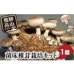 ふるさと納税 菌床椎茸栽培キット 1個 | しいたけ シイタケ 椎茸 栽培キット 栽培 菌床 しいたけ菌 椎茸菌 夏休み 自由研究 5000円 飛騨高山きの.. 岐阜県高山市