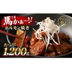 馬かぁホルモン焼き 100g×12個