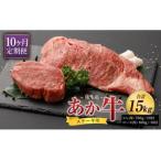 熊本産 あか牛 ステーキ ヒレ 700g