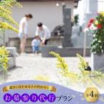 AF053遠方に住むあなたの代わりに