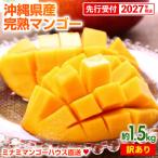 ミナミマンゴーハウスの完熟アップルマンゴー