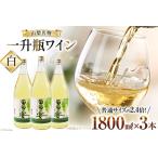 ふるさと納税 白ワイン 葡萄の宴 白 山梨県 名物 一升瓶ワイン 1,800ml×3本セット / サン.フーズ / 山梨県 韮崎市 [20741689] ワイン やや.. 山梨県韮崎市