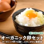 オーガニック卵セット 生卵 B-5