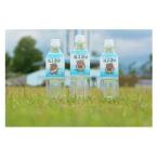 のミネラルウォーター 甲斐のうまい水 龍王源水 490ml×24本…