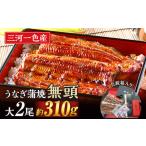 ふるさと納税 三河一色産うなぎ蒲焼　大サイズ2尾　無頭(1尾約155g)・M044-19 愛知県西尾市