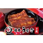 うなぎ 関西風蒲焼 大サイズ3枚 合計約450g
