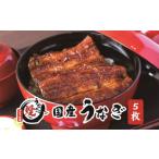 うなぎ 関西風蒲焼 大サイズ5枚 合計約750g