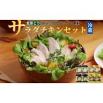 恵那どりサラダチキンセット F4N-0445