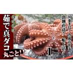 fu.... налог судно сверху . затянуть!!.. подлинный dako круг ..(1~4 шт ) |. после takada город осьминог ... Ooita префектура . после takada город 