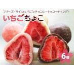 いちご ちょこ 6袋