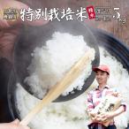 令和8年度産 新米 棚田米 5kg