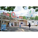 王子動物園グッズ&入園券 5枚