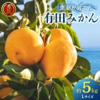 黒潮が育てた 有田みかん 約5kg