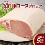 豚ロースブロック5kg越え _K16_0058_2