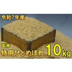 ふるさと納税 数量限定 令和7年産 岩手県奥州市産 特用ひとめぼれ 玄米 10kg 生活応援 緊急支援 [AC040] 岩手県奥州市