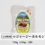 ホルモン 惣菜 ジャージーホルモン 味噌味