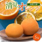 とにかくジューシー 清見 オレンジ 5kg_G7066
