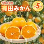こだわりの有田みかん 5kg
