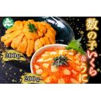 ふるさと納税 3374. 数の子・いくら醤油漬け 100g前後 2パック 計200g イクラ 魚卵 うに ウニ チリ産 冷凍 雲丹 100g前後 2パック 計200g 海鮮.. 北海道弟子屈町