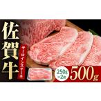 佐賀牛 サーロインステーキ 500g