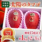 2027年発送 糖度12度以上 大玉 西都産完熟マンゴー 4L×2