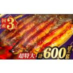 ふるさと納税 うなぎ蒲焼特大3尾(さんしょう・たれ付き)計600g以上 鰻 魚 魚介 加工品 国産_T026-0021 宮崎県都農町