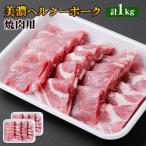 豚肉 美濃ヘルシーポーク 焼肉用 松坂屋精肉店