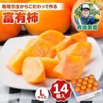 柿 富有柿 Lサイズ 14個入