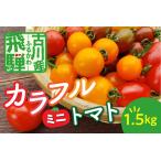 カラフルミニトマト 1.5kg