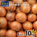 ふるさと納税 【Z55-001】日本一の玉ねぎ生産地！信田農園の玉ねぎ 10kg【2022年9月中旬から順次発送】 北海道北見市