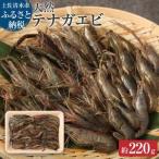 天然テナガエビ1パック 冷凍 約220g