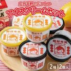SA0895 庄内平野のおいしいアイスクリームセット 計12個