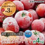 冷凍トマト調理用訳あり農薬化学肥料不使用冷凍トマト