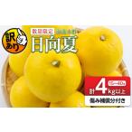 ふるさと納税 先行予約 訳あり 海藻木酢 日向夏 小夏 計4kg以上 傷み補償分入り 期間限定 数量限定 フルーツ 果物 くだもの 柑橘 みかん 訳アリ .. 宮崎県日南市