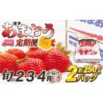 いちご 2027年2~ 博多あまおう2パック3回定期便 約500g×3回