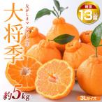 ながしまマンダリン王 大将季 約5kg