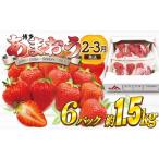 いちご 博多あまおう特別6パック 約1.5kg