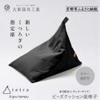 tetra 8号帆布 ビッグサイズ 黒 ビーズクッション