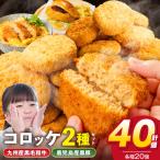2種コロッケ詰合せセット 40個