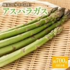 企画 極太2Lサイズ以上 アスパラガス 約700g