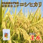 令和8年産 石見高原みずほ米コシヒカリ
