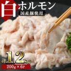 白ホルモン 約計1.2kg 200g×6P