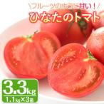 ひなたのとまと 計3.3kg