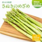 柔らかさ抜群 さぬきのめざめセミロング30cm